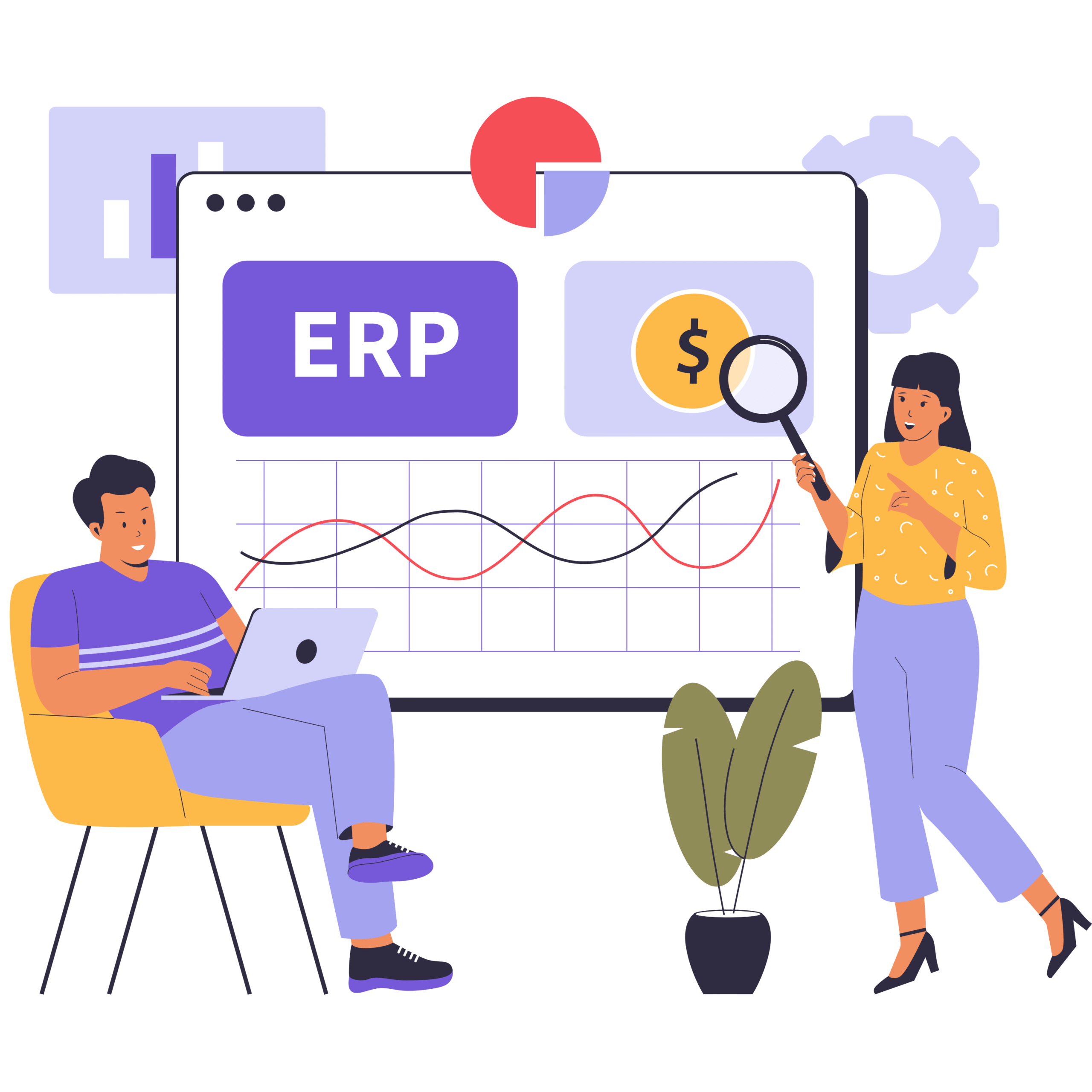 ERP Consultation